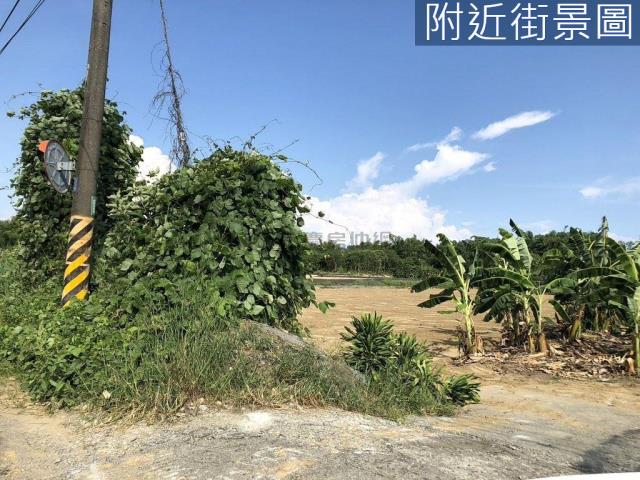 台南山上農地-2