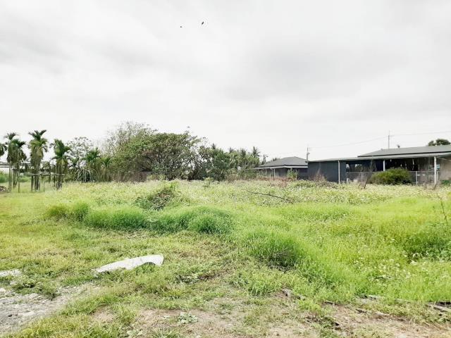 屏東麟洛農地-1
