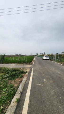 善化農地-6