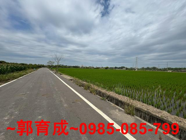 東山農地-2