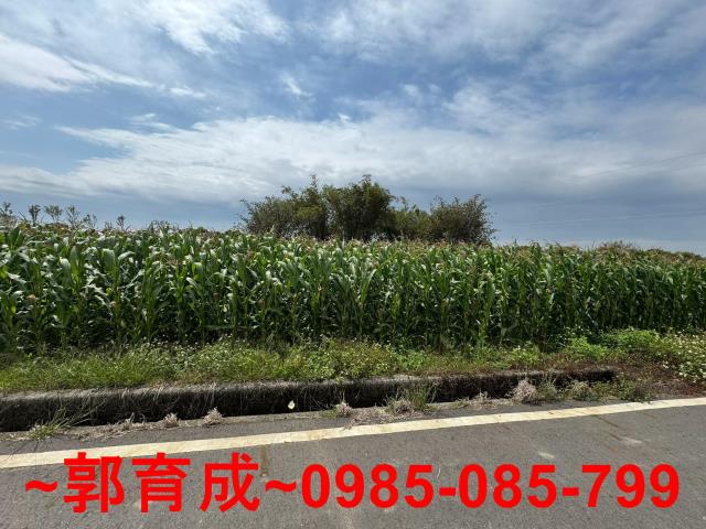 東山農地-3