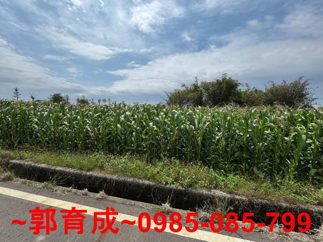 東山農地-5