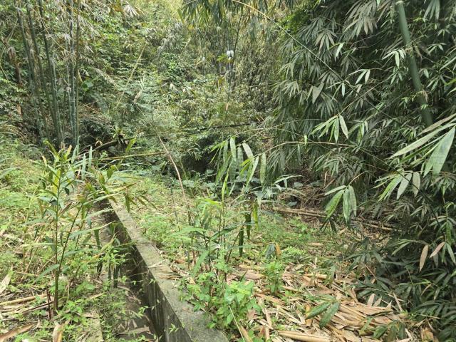 竹崎農地-1