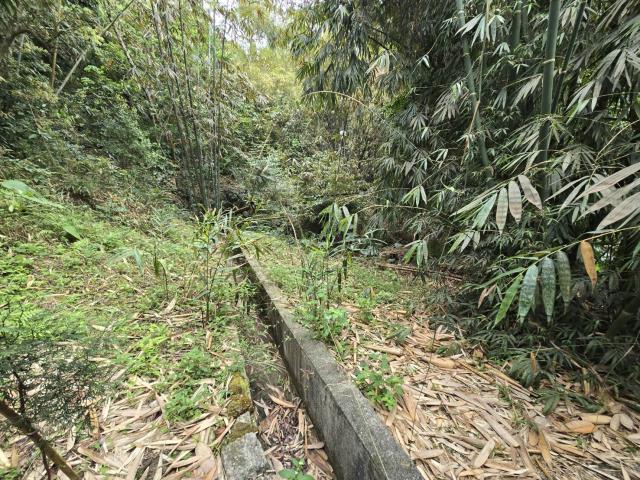 竹崎農地-2