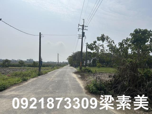 善化農地-3