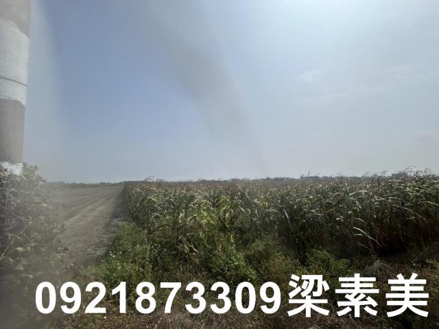 善化農地-4