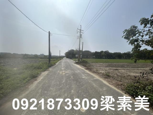 善化農地-9