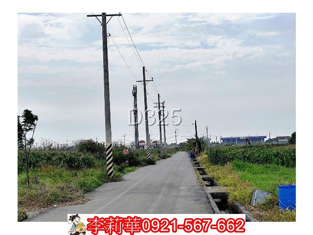 台南農地-5