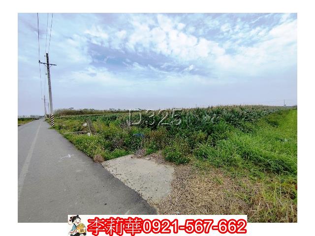台南農地-7