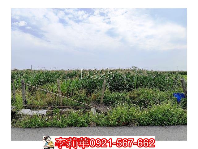 台南農地-9