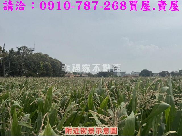 新營農地-13