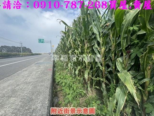 新營農地-14