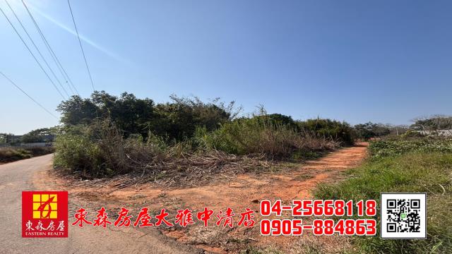 沙鹿農地-2