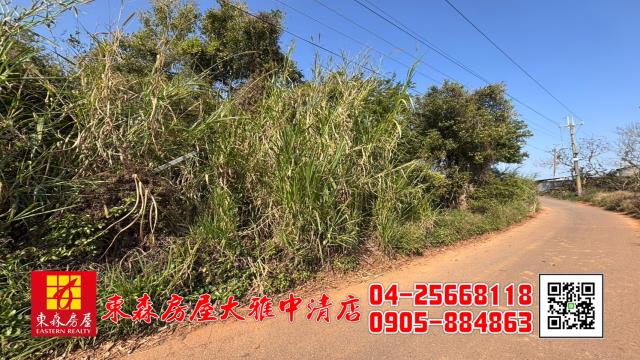沙鹿農地-4