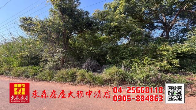 沙鹿農地-5
