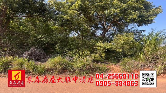 沙鹿農地-6