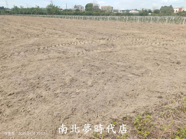 玉井農地-1