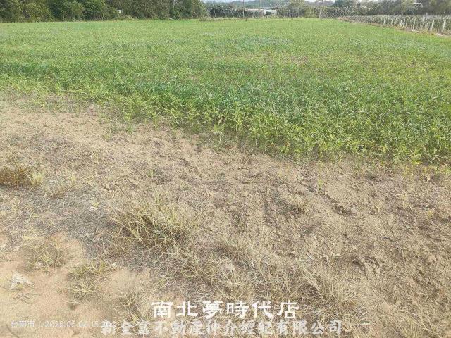 玉井農地-8