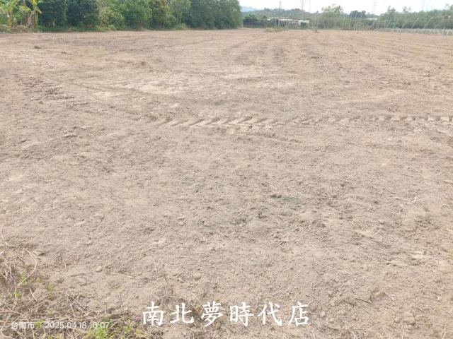 玉井農地-2