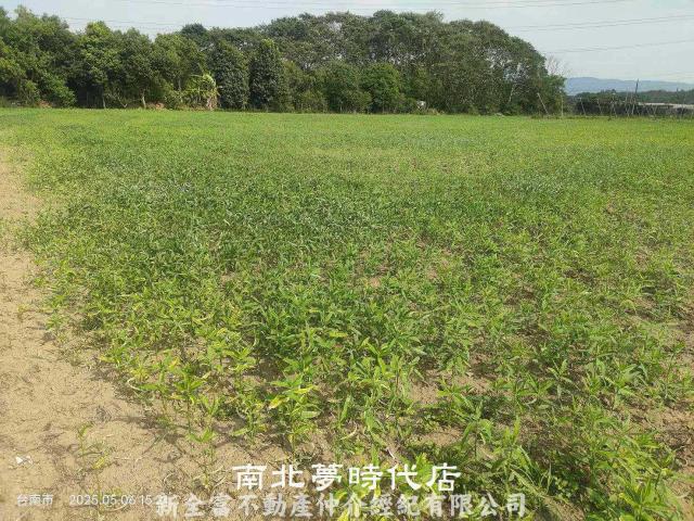 玉井農地-9