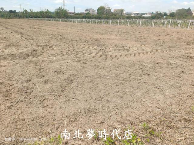 玉井農地-3