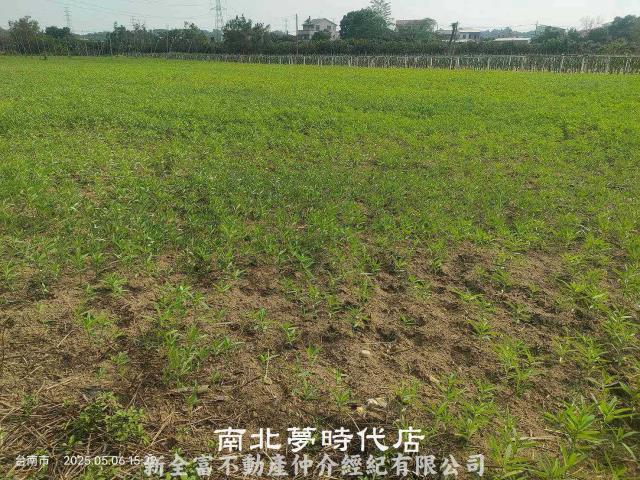 玉井農地-10