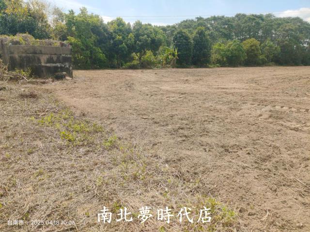 玉井農地-4
