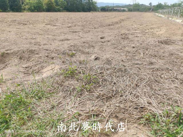 玉井農地-5