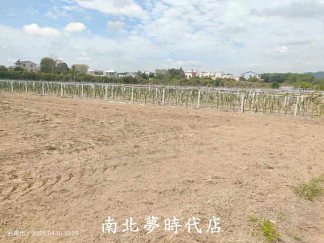 玉井農地-6