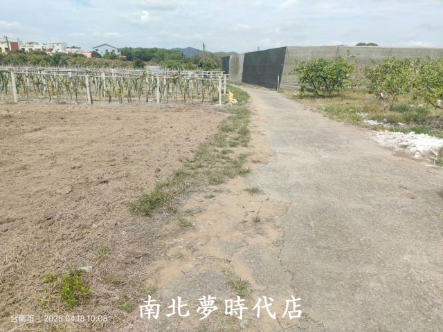 玉井農地-7