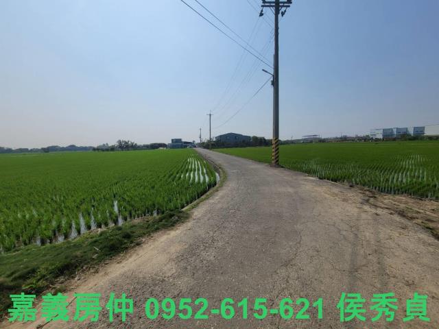 西區農地-12