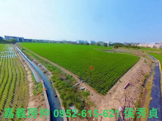 西區農地-4