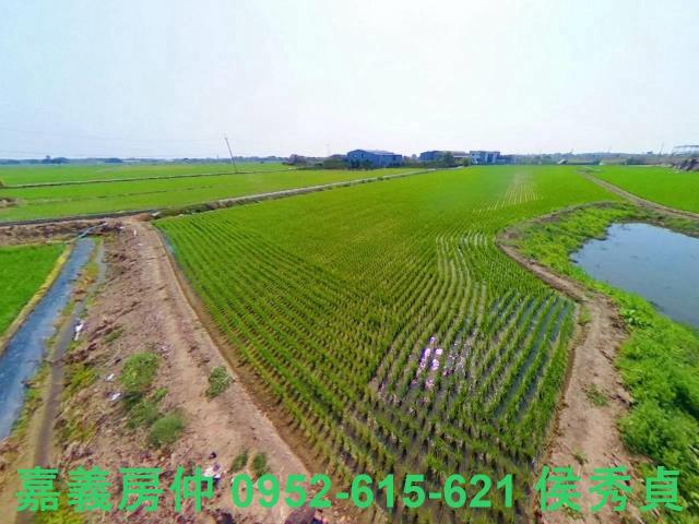 西區農地-6
