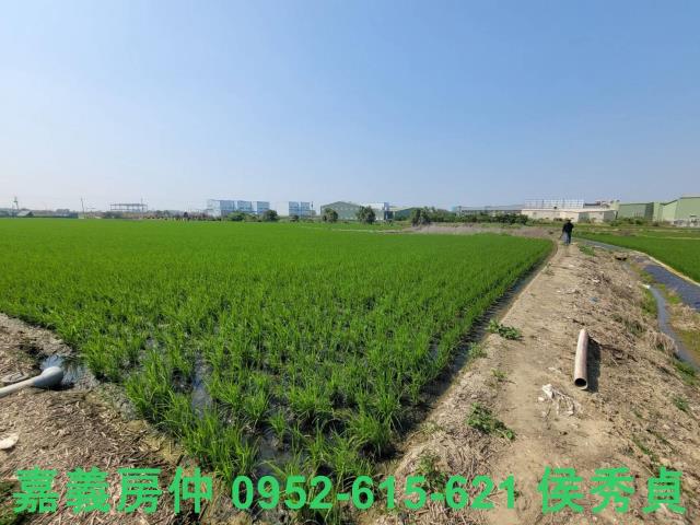 西區農地-9