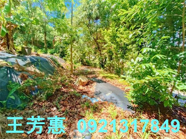 台中建地-6