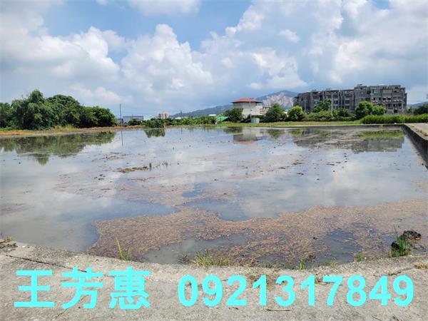 台中農地-10