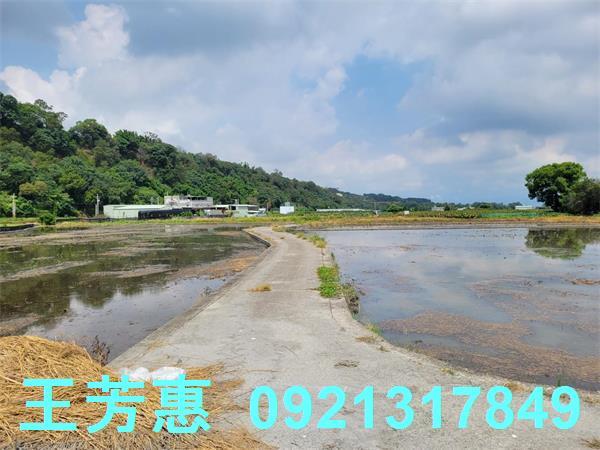 台中農地-14