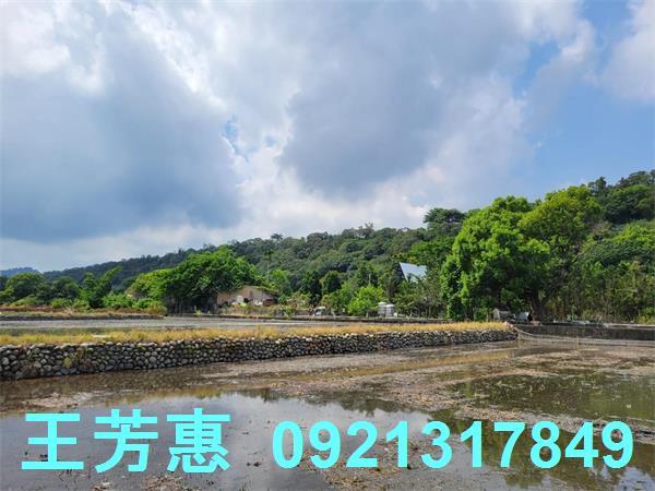 台中農地-15
