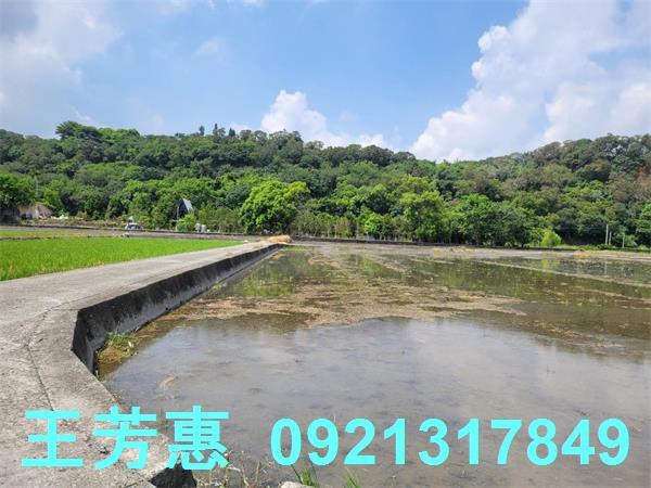 台中農地-7