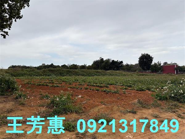 台中農地-4