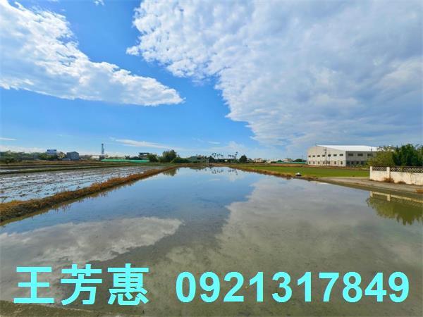 台中農地-12