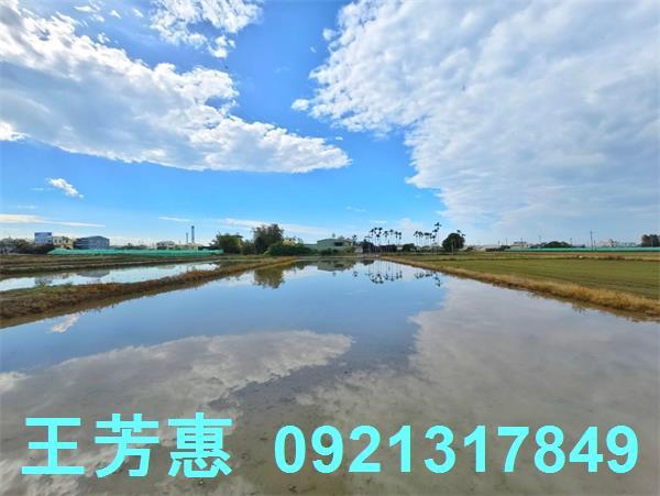 台中農地-9