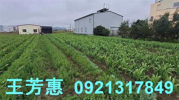 台中農地-12