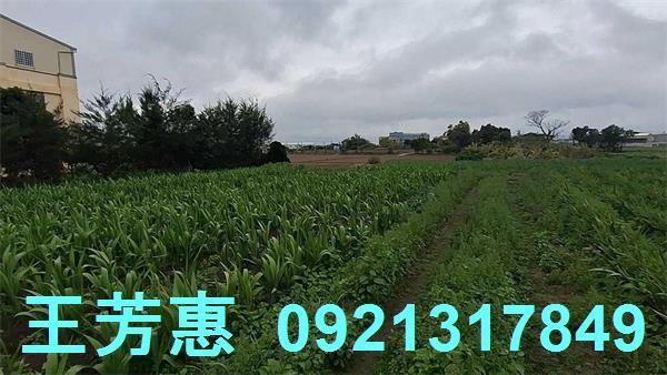 台中農地-5