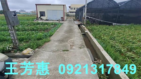 台中農地-6