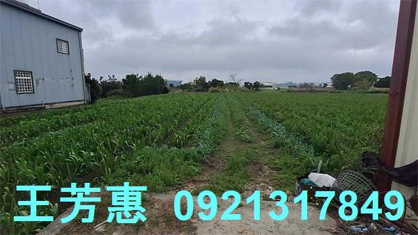台中農地-9