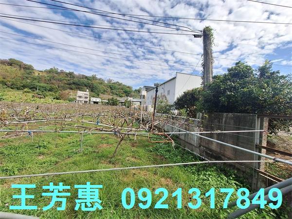 台中農地-12
