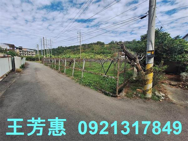 台中農地-5