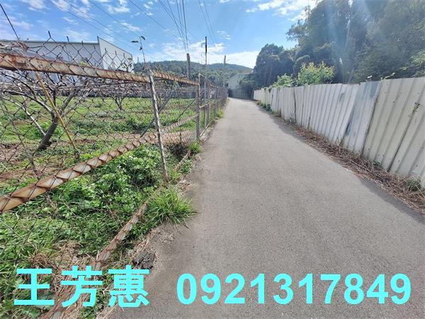 台中農地-6