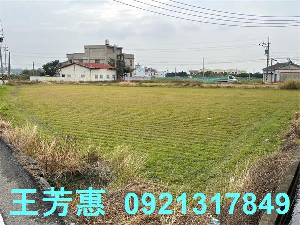 台中外埔農地-2